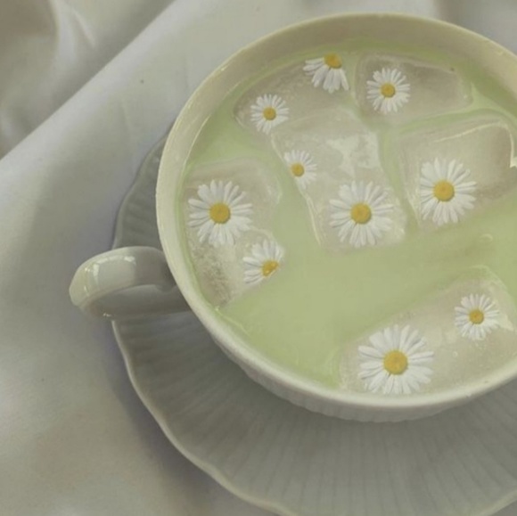 Meet your Posher, Nev - Picture 6 of 6